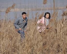 天鹅城之恋(全集)