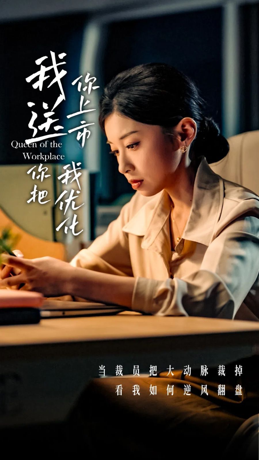 我送你上市你把我优化(全集)