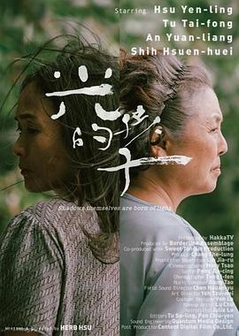 光的孩子(大结局)
