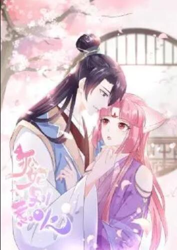 狐妃，别惹火第02集