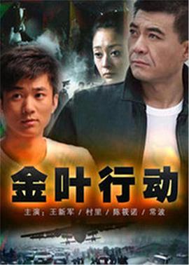 金叶行动第13集(大结局)
