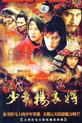 少年杨家将第18集