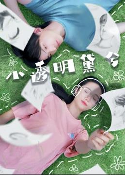小透明黛兮(大结局)