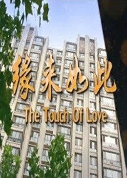 缘来如此2017(大结局)
