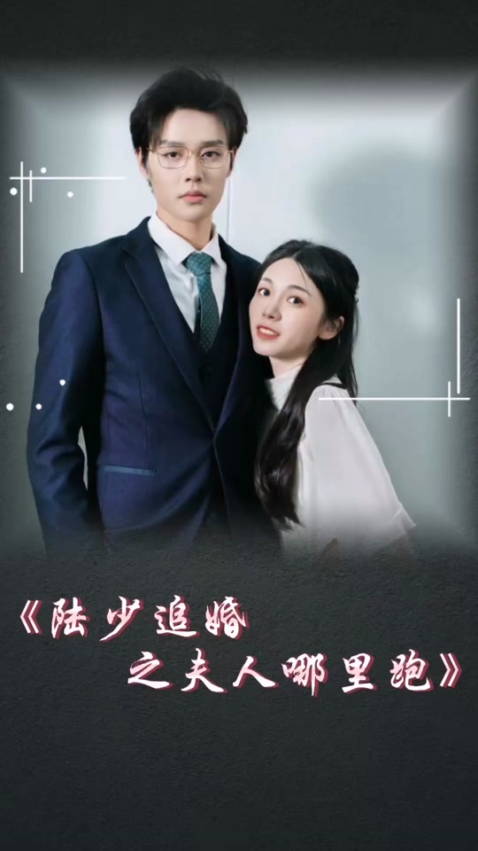 陆少追婚之夫人哪里跑全集(大结局)