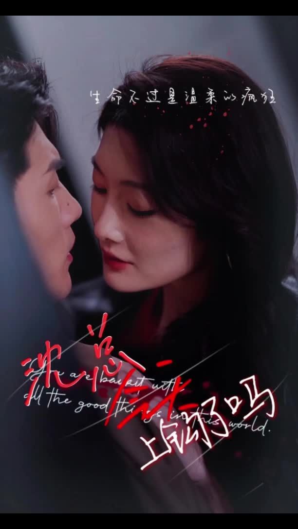 沈总今天上钩了吗第11集