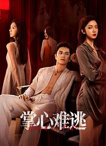 掌心难逃第15集
