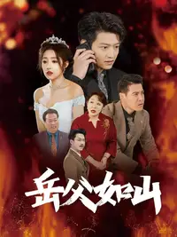 岳父的礼物第14集