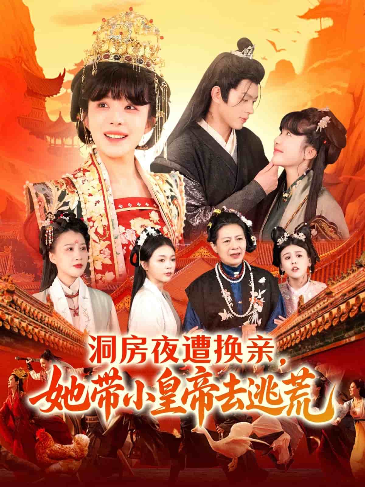 洞房夜遭换亲，她带小皇帝去逃荒(全集)