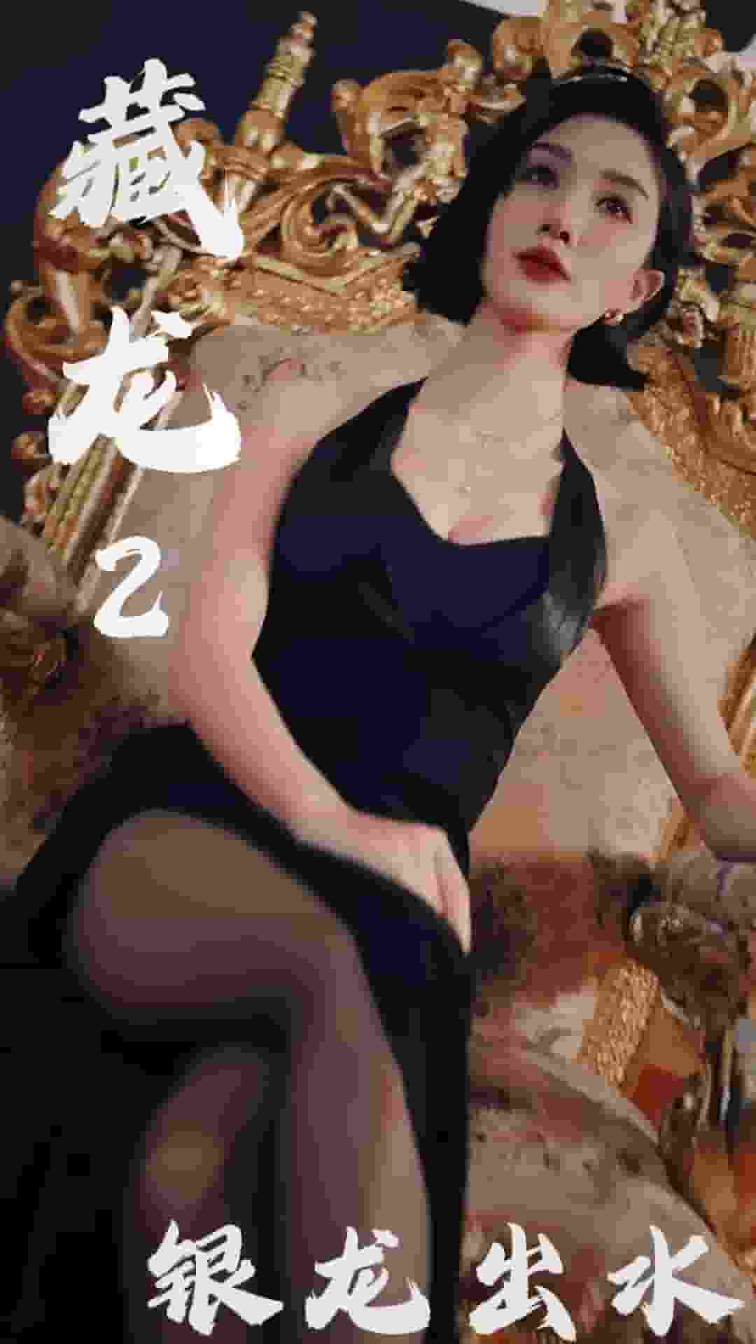 藏龙2银龙出水(全集)